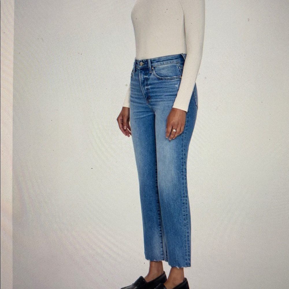 NWOT. PISTOLA CHARLIE HIGH RISE CLASSIC STRAIGHT JEAN - RHYTHM SZ 26. NWOT